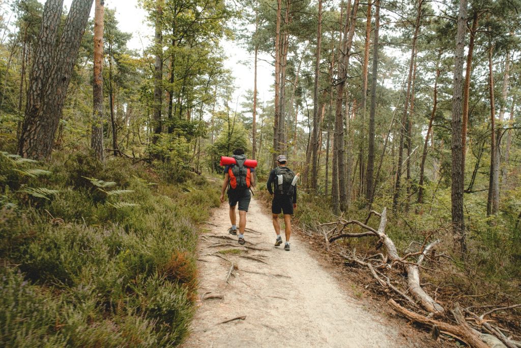 forestiers promeneurs