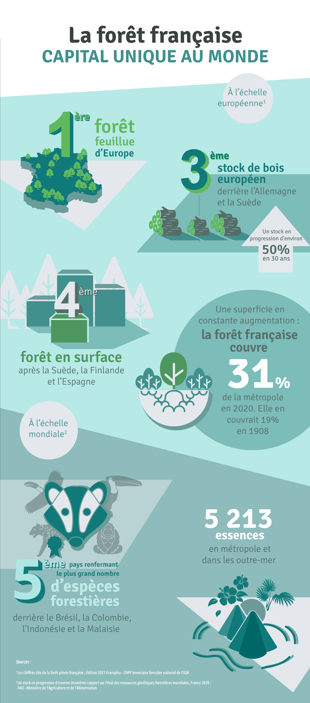 Infographie - La forêt française, un capital unique au monde
