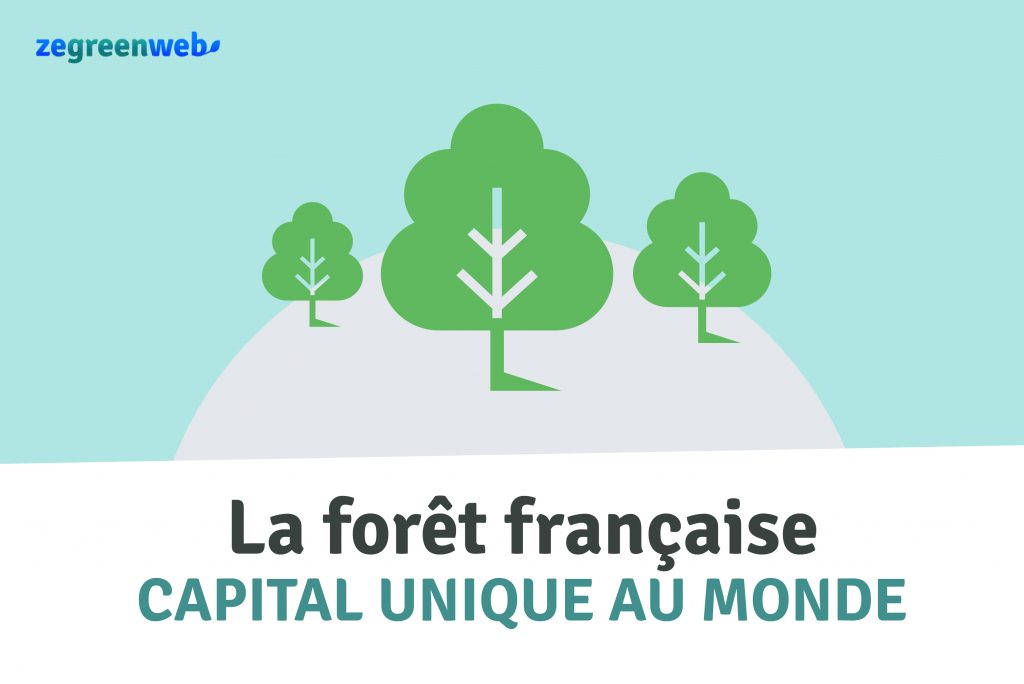 Infographie - La forêt française, capital unique au monde