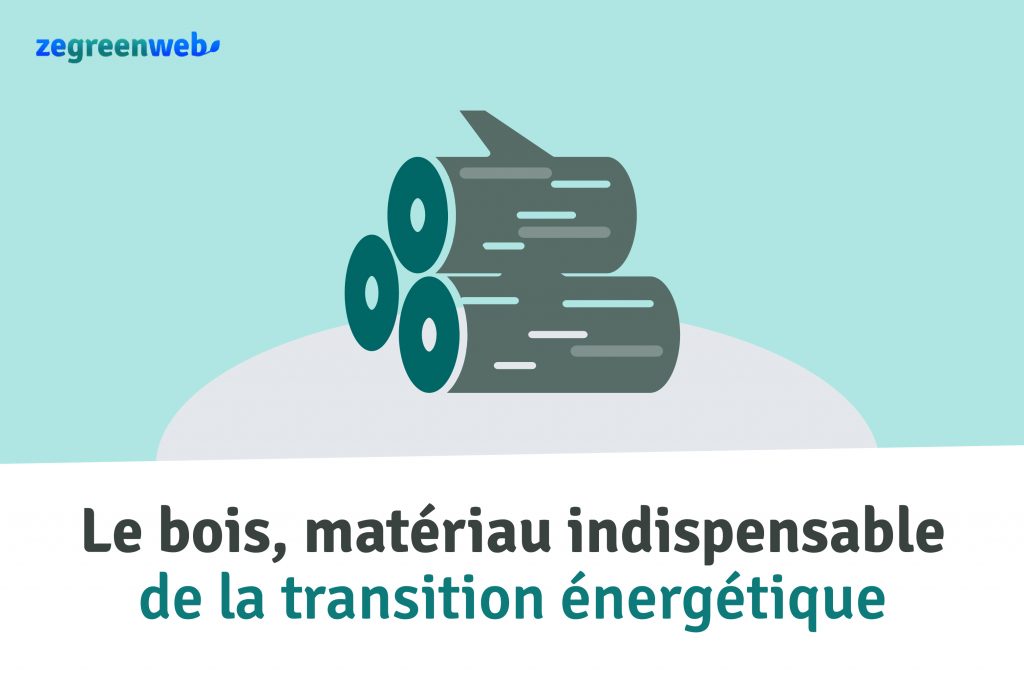 Infographie : le bois, matériau indispensable de la transition énergétique