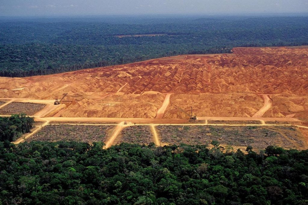 consommation environnement produits alimentaires lorigine deforestation - ZeGreenWeb