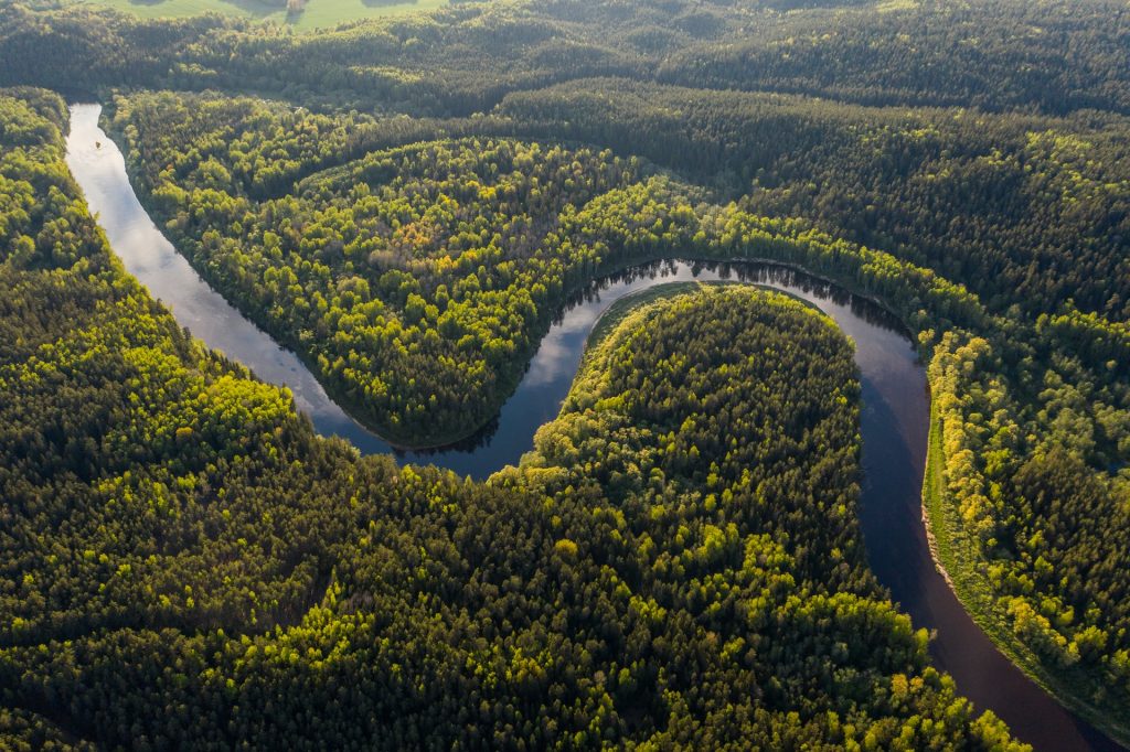 forêts patrimoine mondial CO2