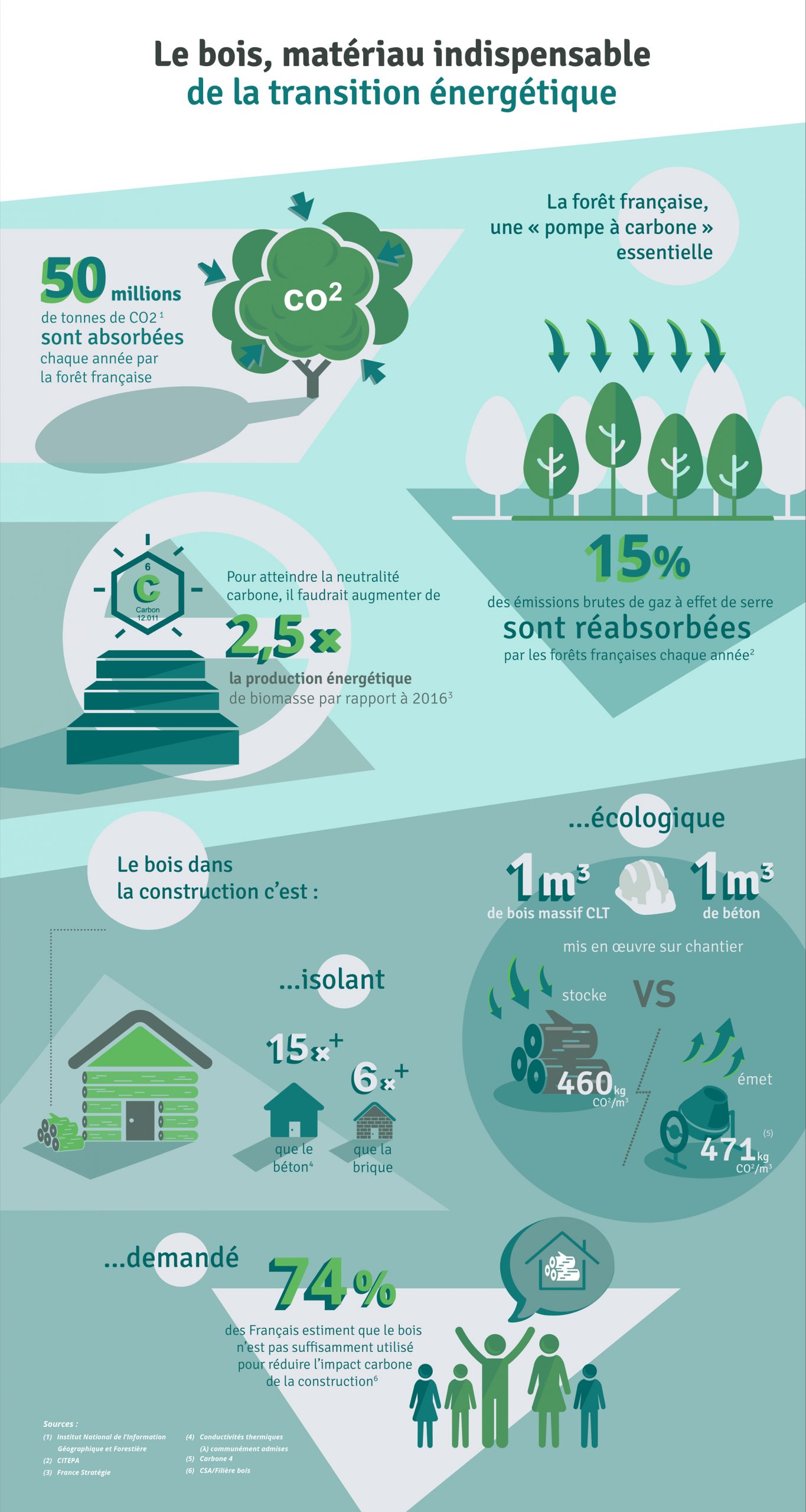 Infographie : bois matériau transition énergétique