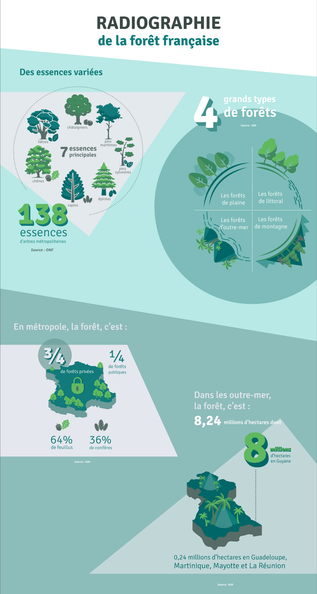 radiographie forêt française 