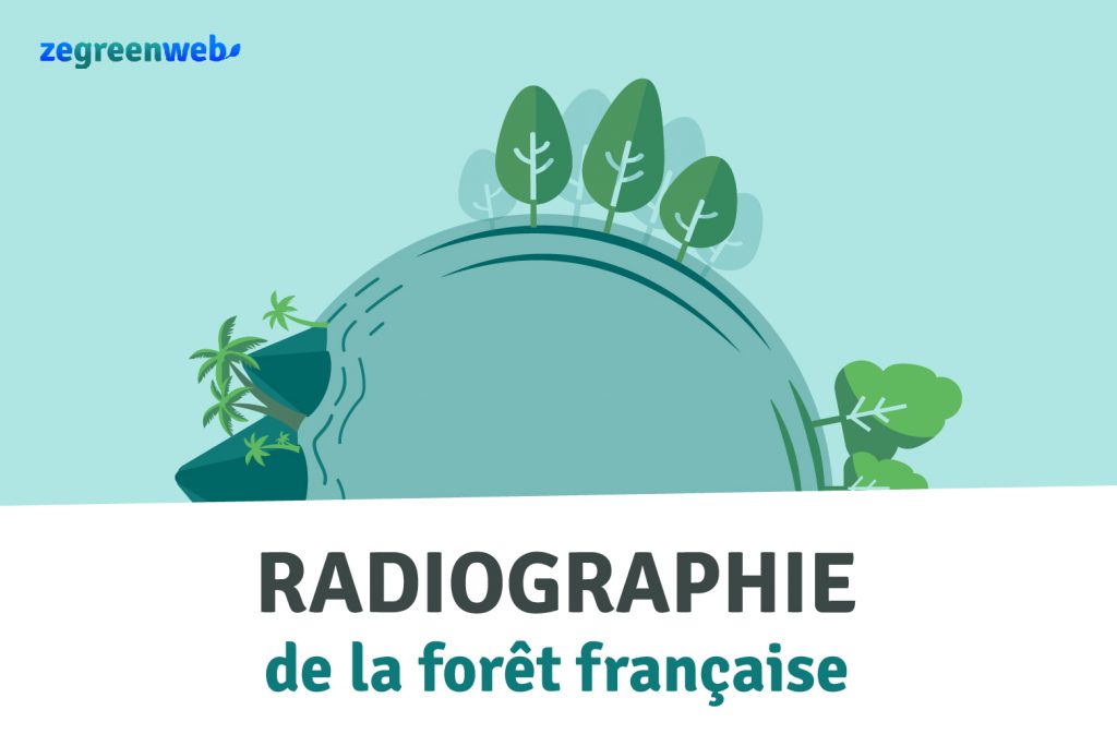 cover radiographie forêt française