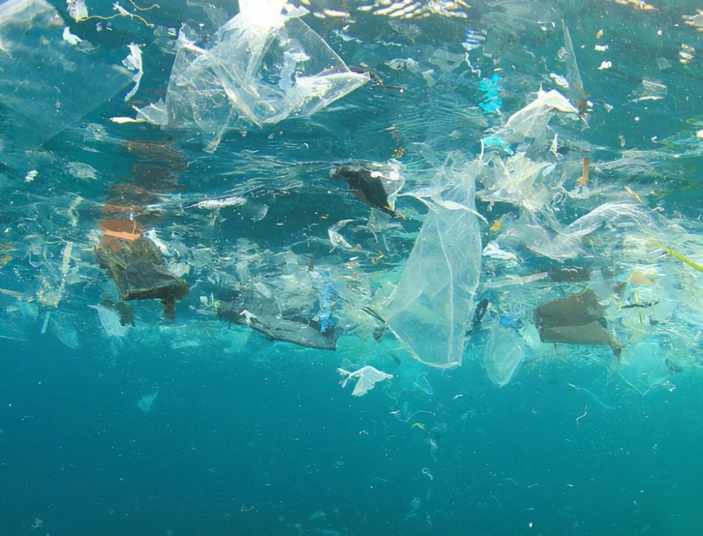 cout plastique couterait plus cher production wwf - ZeGreenWeb