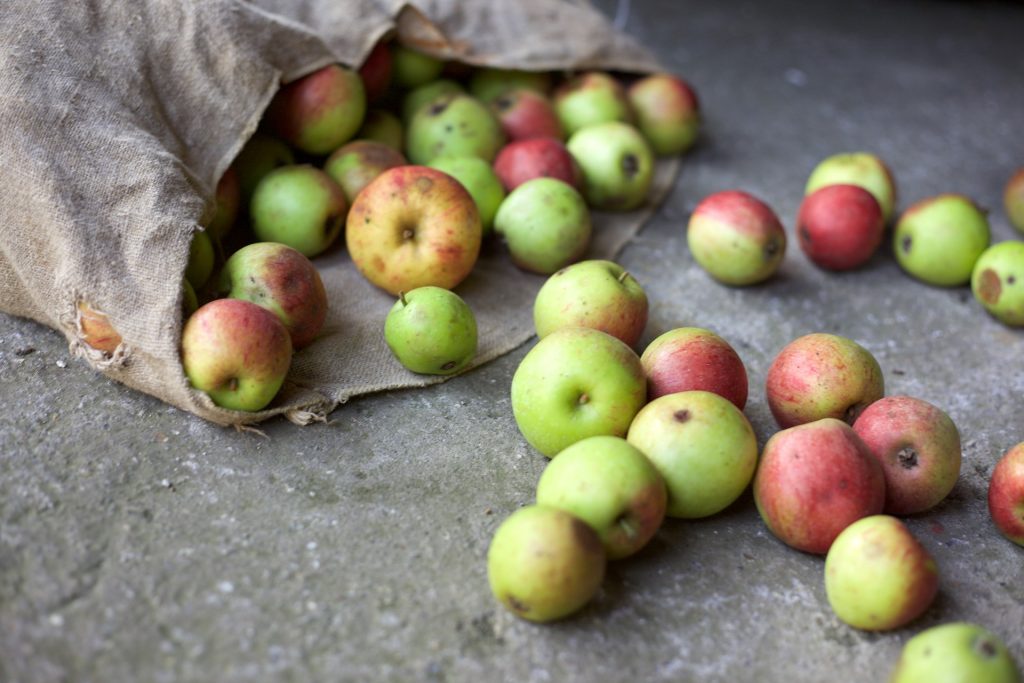 fruits legumes gaspillage