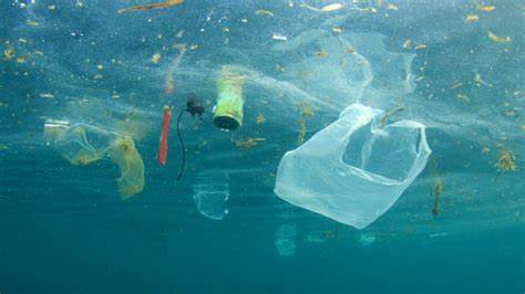 pollution plastique lavertissement locde - ZeGreenWeb