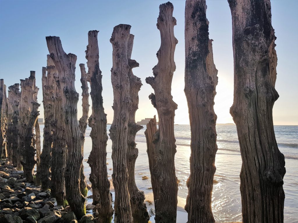 bois-digue-saint-malo