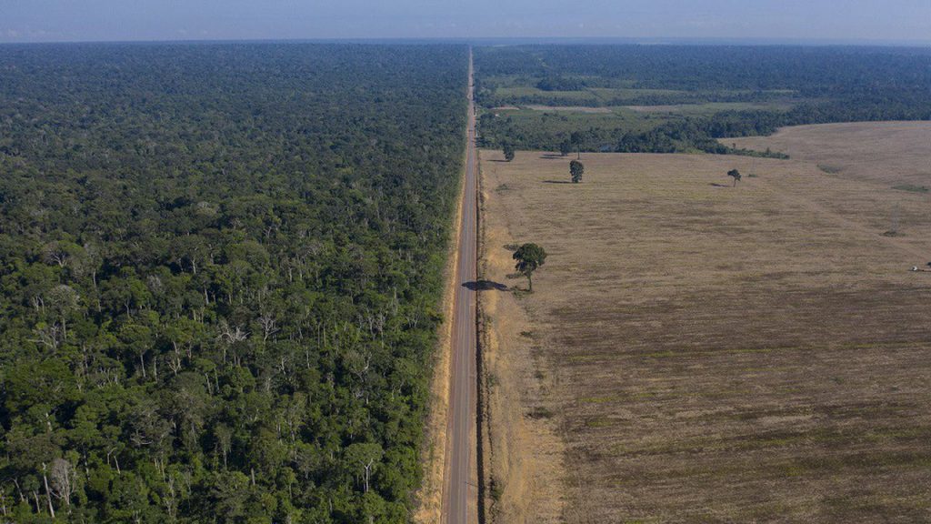 déforestation Amazonie