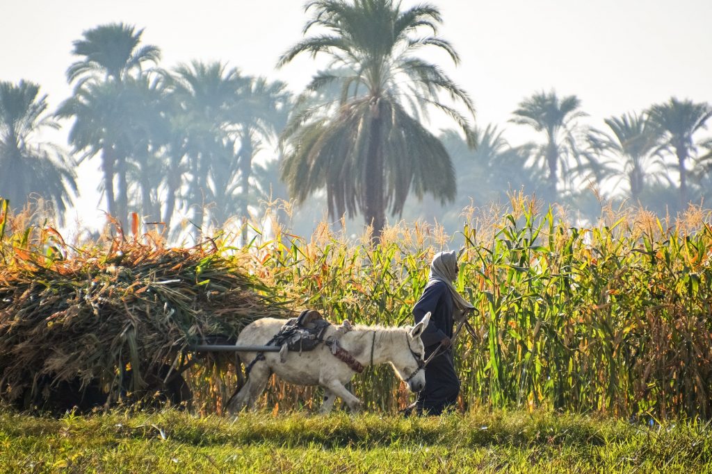 Agriculture climat