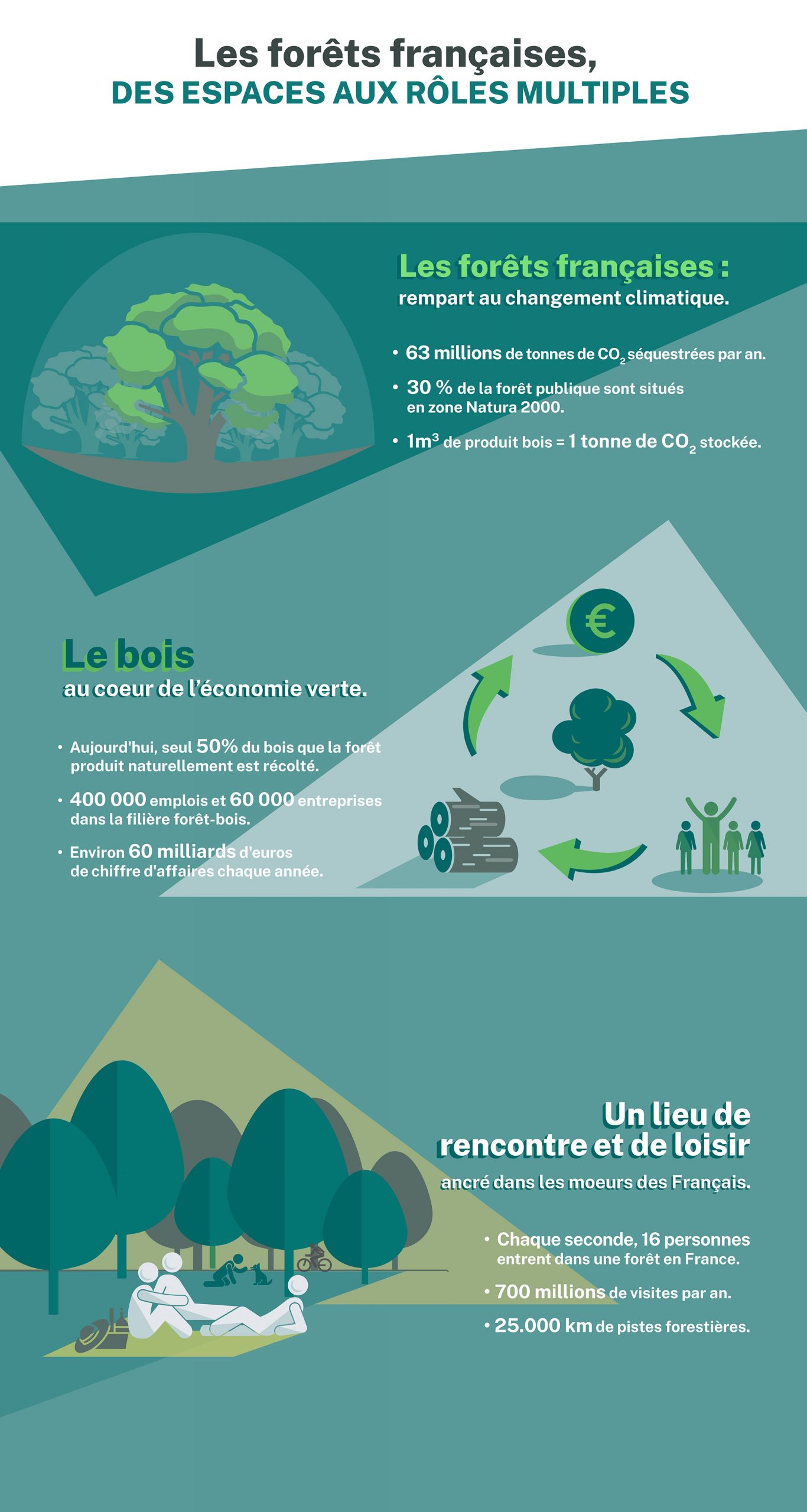 foret-francaises-infographie-roles-multiples