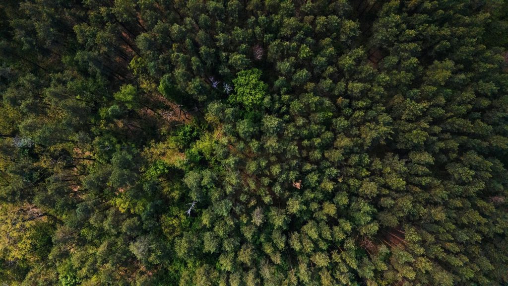 forêts-françaises-forestiers-victimes-dagressions