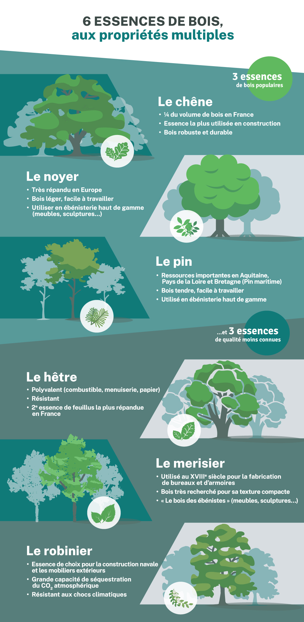 INFOGRAPHIE-Mai-2022-essences