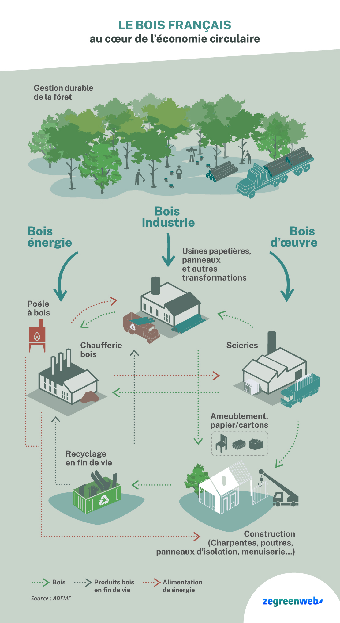 économie-circulaire-bois