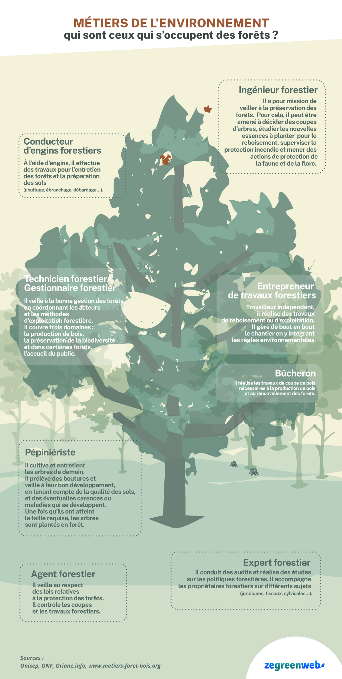 Infographie métiers de la forêt 