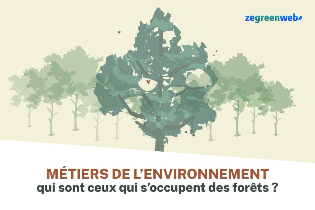 infographie métiers de la forêt