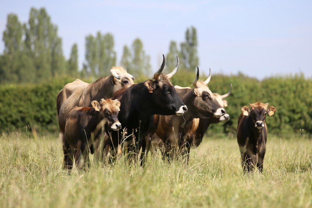 agriculture elevage agriculture hausse prix energie - ZeGreenWeb