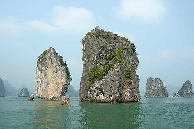 vietnam charbon - ZeGreenWeb