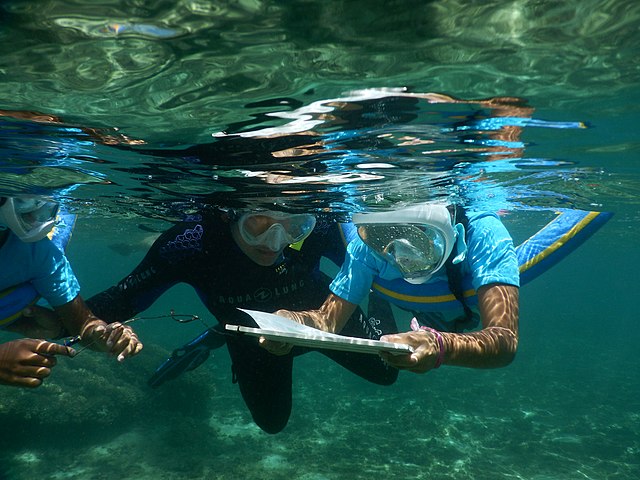 aires marines preservation ecosystemes aquatiques - ZeGreenWeb