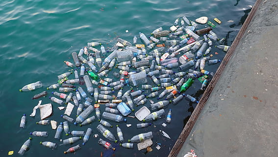 pollution plastique ecosysteme marin - ZeGreenWeb