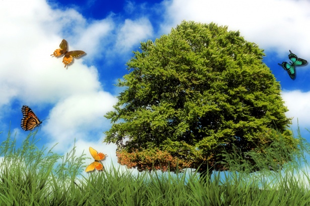 questions environnementales solutions - ZeGreenWeb