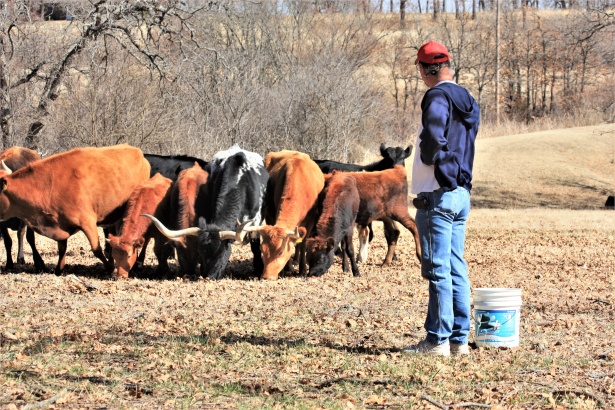 vegan environnement planete - ZeGreenWeb