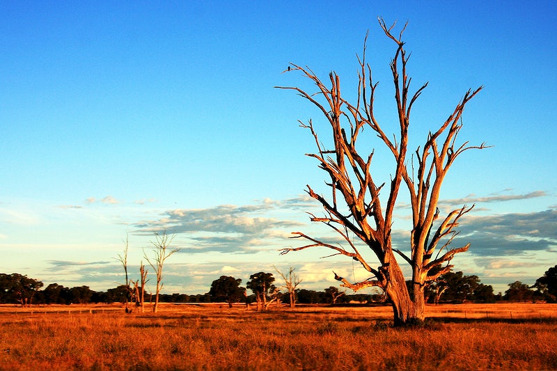 australie baisse consommation charbon - ZeGreenWeb