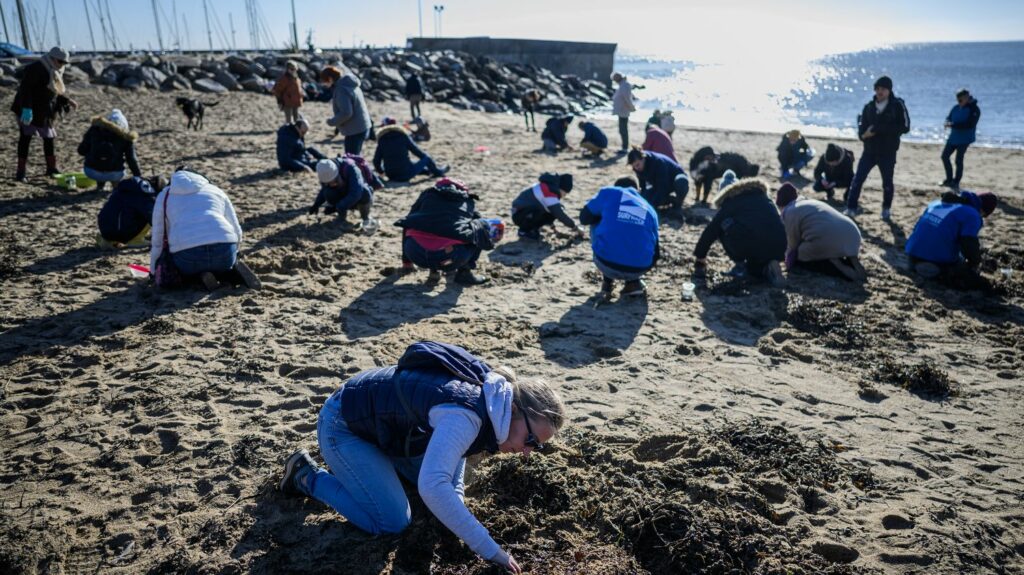 pollution combat dechets calanques marseille - ZeGreenWeb