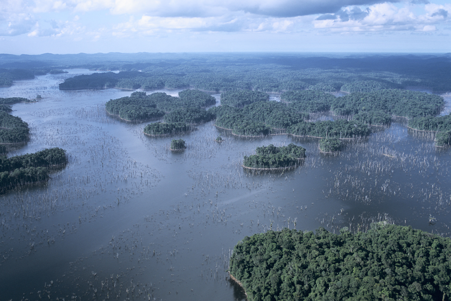 guyane petit saut exploitation industrielle