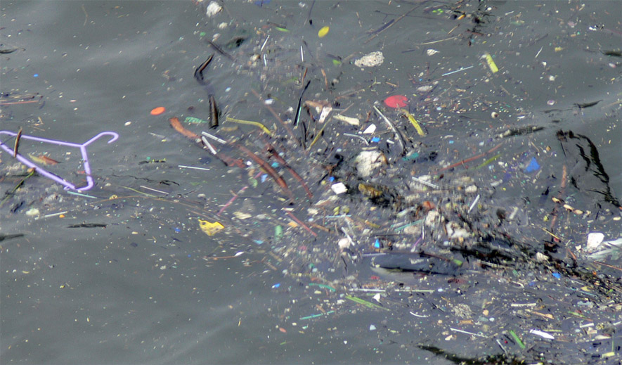 pollution antarctique microplastiques - ZeGreenWeb