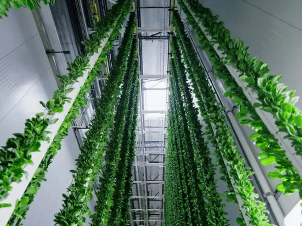 Ferme verticale avec rangées de cultures et environnement contrôlé en milieu urbain.