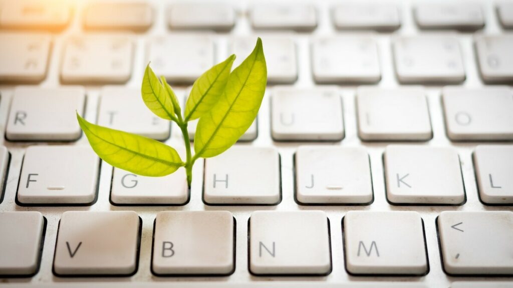 Poste de travail minimaliste avec équipement numérique responsable et végétal, illustrant la réduction de l’empreinte environnementale du digital.