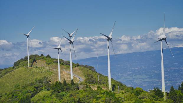 Parc éolien en France, montrant l'impact potentiel sur la faune avec des oiseaux protégés tués par les pales des éoliennes