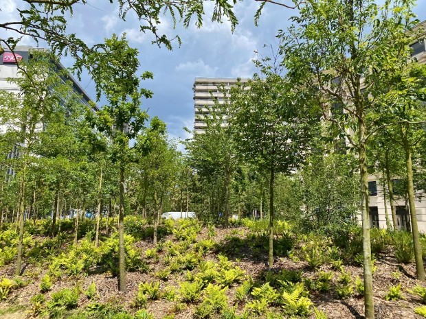 Projet de parc urbain à Paris dans le cadre du plan climat 2024-2030, visant à améliorer la qualité de l’air et à renforcer la biodiversité.