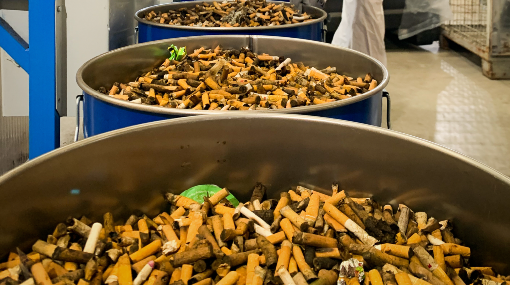 Des mégots de cigarettes collectés et recyclés en matières premières pour de nouveaux produits dans un centre de recyclage.