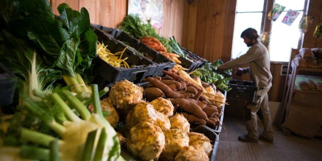Agriculture durable et vente en circuit court pour une transition alimentaire responsable.