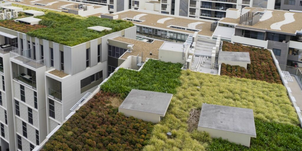 Vue d’un toit végétalisé en milieu urbain, contribuant à réduire la chaleur et favoriser la biodiversité.