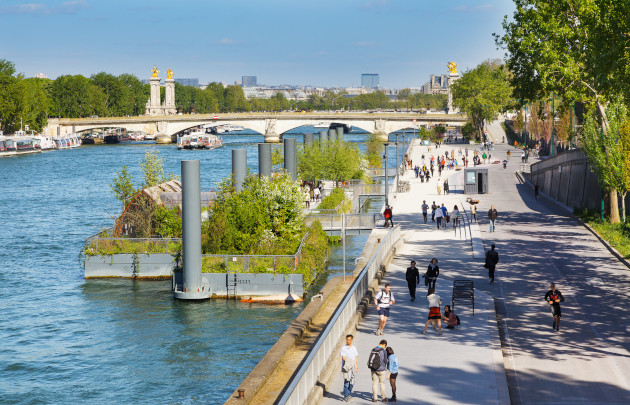 Berges végétalisées et eau claire de la Seine en plein Paris.