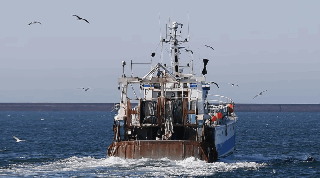 Chalutier européen naviguant au petit matin