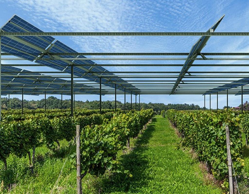 Panneaux solaires installés au-dessus d’un champ cultivé