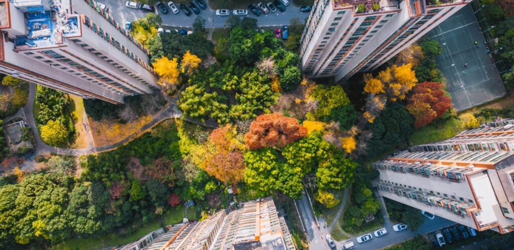 Forêt urbaine expérimentale implantée dans un espace urbain dense