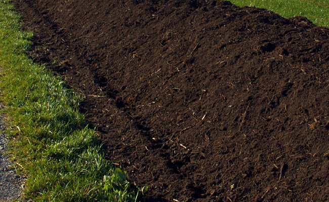 sol agricole stockage carbone