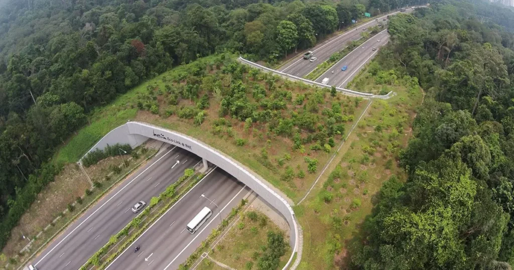 corridor écologique