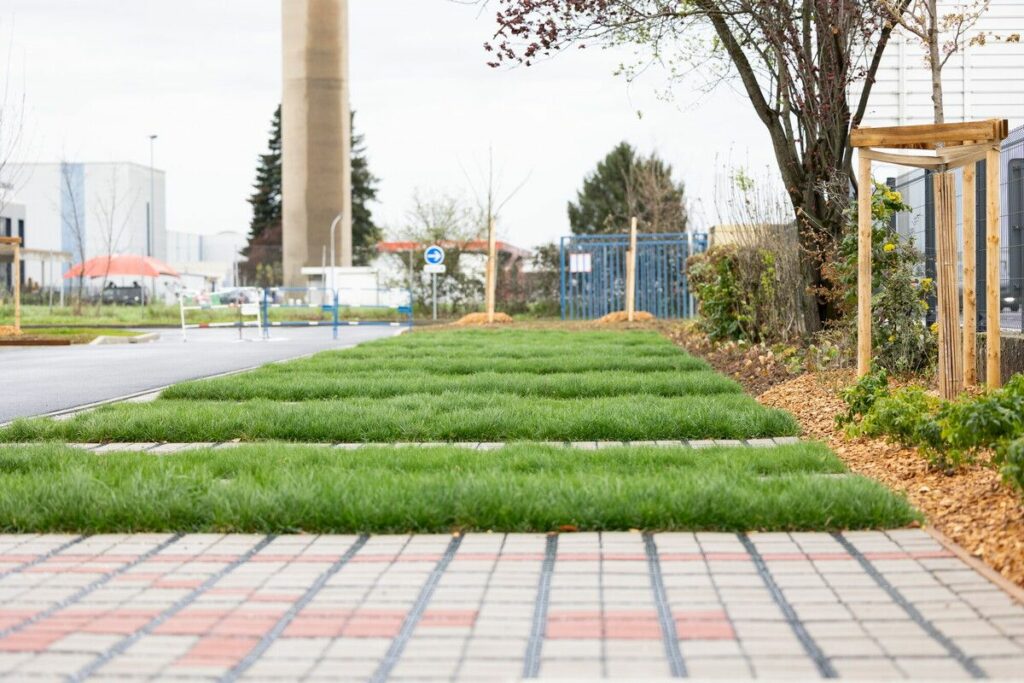 renaturation sols urbains