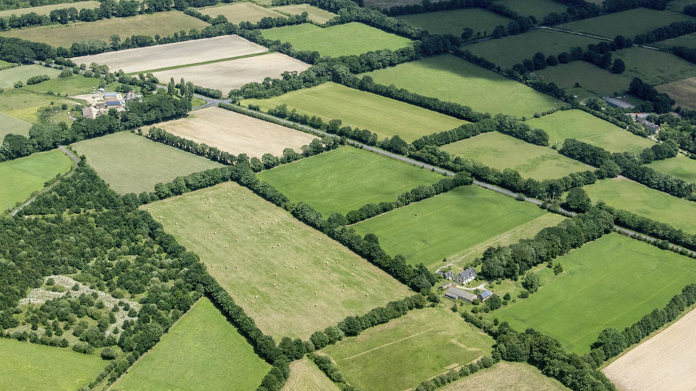 Haie d’arbres et d’arbustes séparant deux parcelles agricoles.