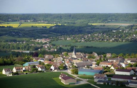 Un rapport dénonce la perte de biodiversité de la région Île-de-France