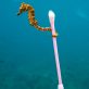 En 2040, la quantité de plastique dans les océans aura triplé