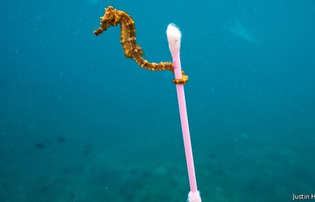 En 2040, la quantité de plastique dans les océans aura triplé