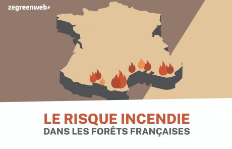 [Infographie] Le risque incendie dans les forêts françaises